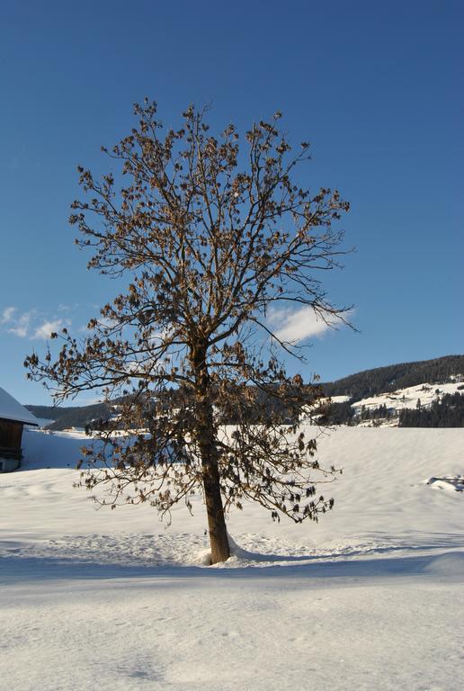 Trogerhof Apartment Dobbiaco Bagian luar foto